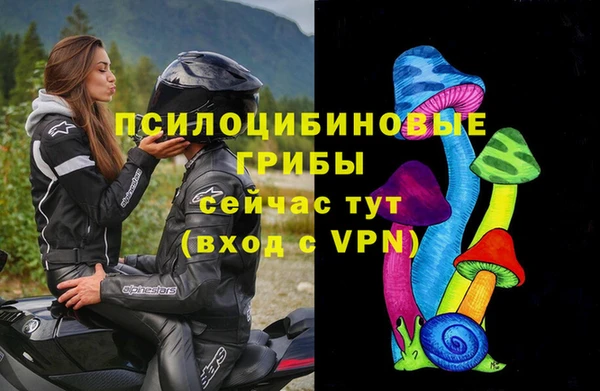 индика Абдулино