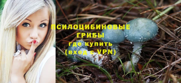 тгк Абинск