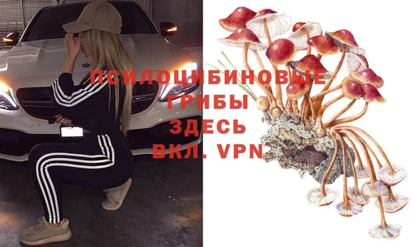 героин Алексин
