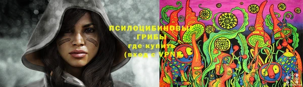 кристаллы Дмитриев