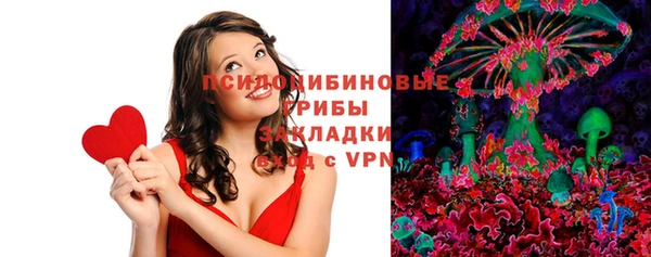 индика Абдулино