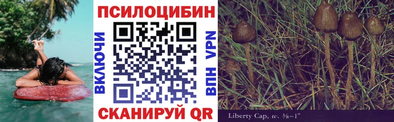 Псилоцибиновые грибы мухоморы  Тавда 