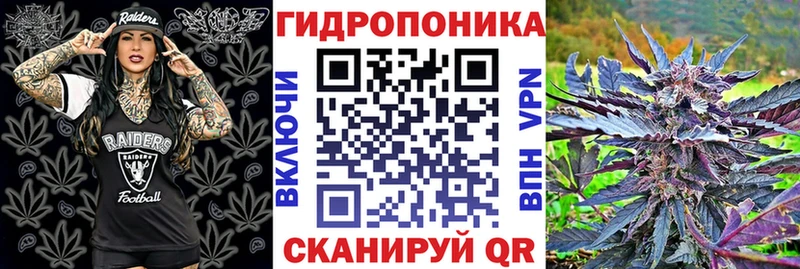 Бошки Шишки Amnesia  Тавда 